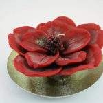 Composizione candela fior di ciliegio profumata ROSA