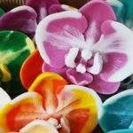 Orchidee profumate galleggianti