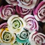 Rose Galleggianti