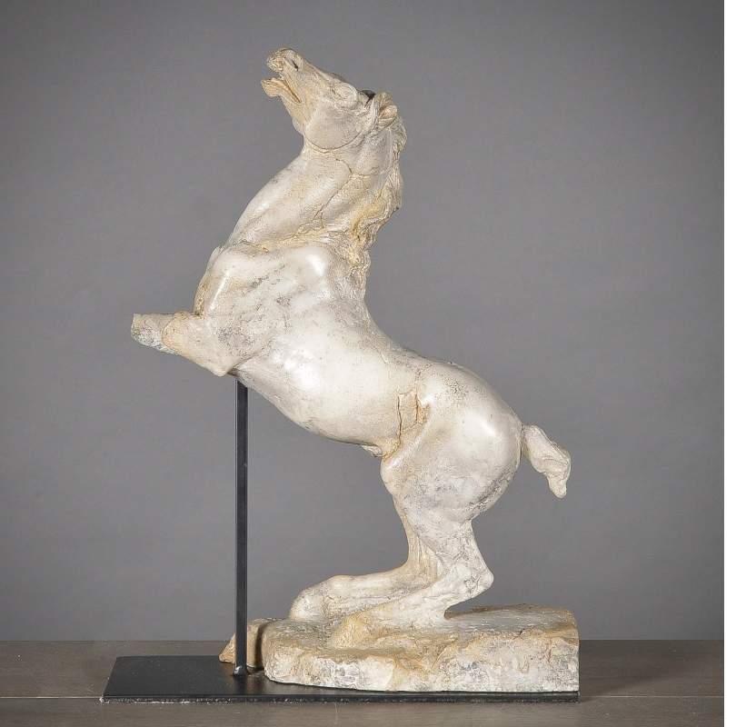 cavallo
