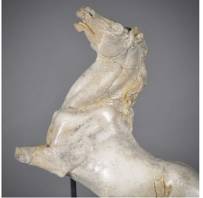cavallo1