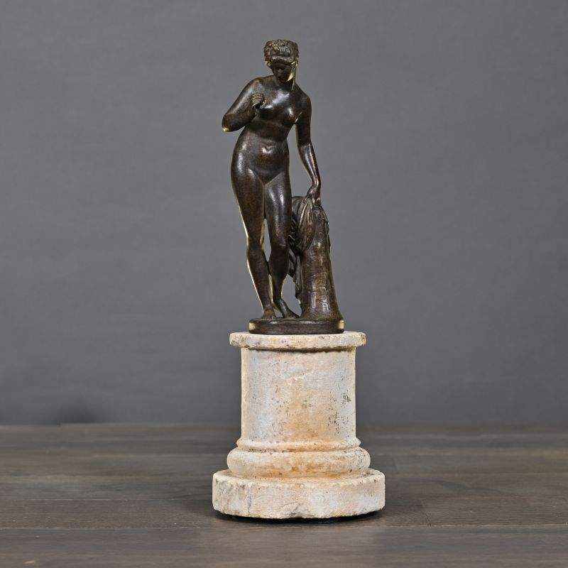 VENUS POM