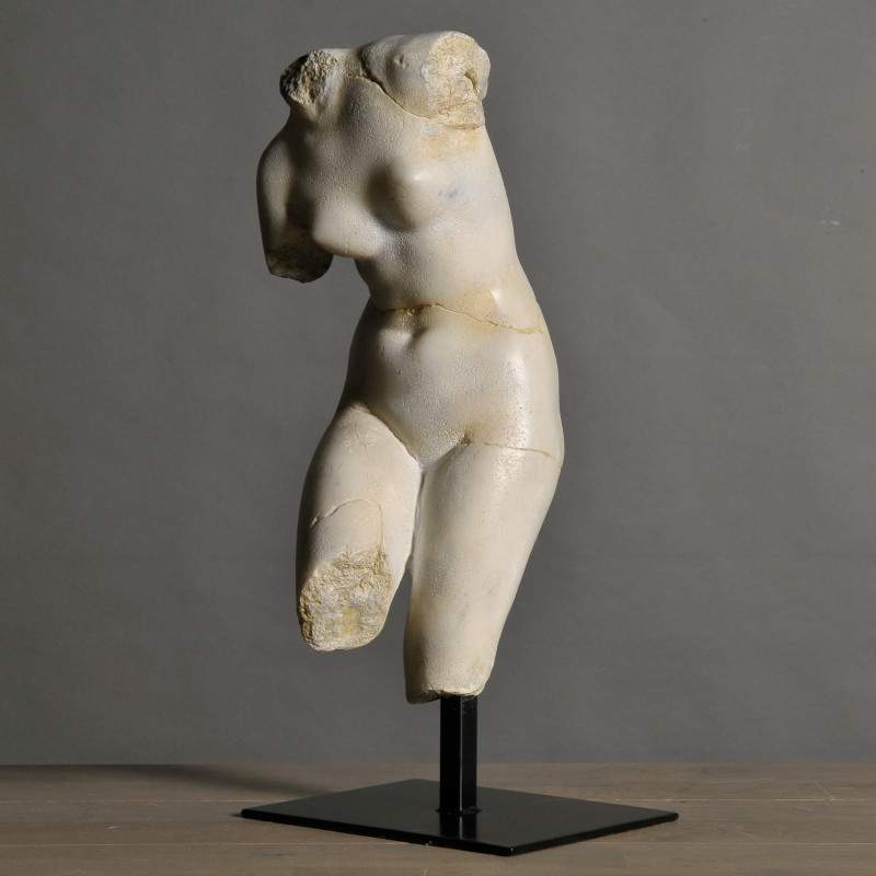 venus-pm (1)