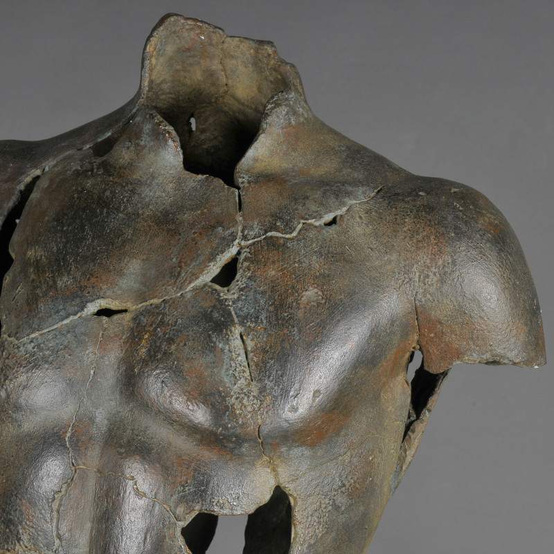 fragment-d-hermes (1)
